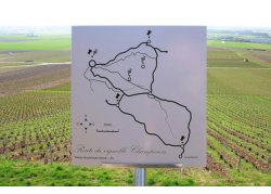 GRAVOLASE-ORO-EUROPEO/NEGRO-1-6