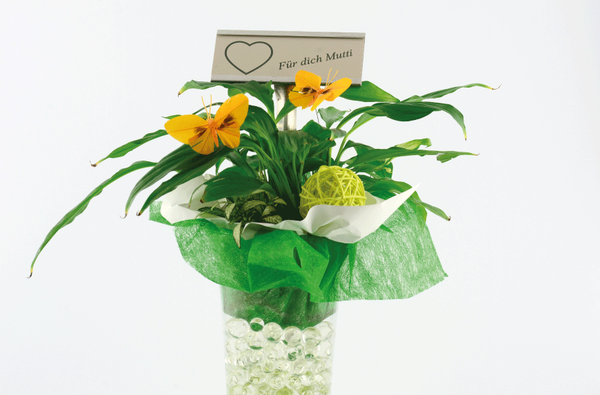 ESTACA-PORTA-PLACAS-120X53-MM-ALUMINIO-300-MM