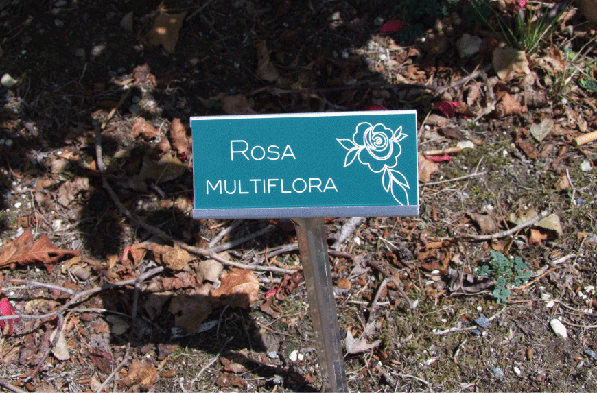 ESTACA-PORTA-PLACAS-120X48-MM-ACERO-600-MM