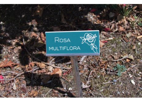 ESTACA-PORTA-PLACAS-120X48-MM-ACERO-600-MM