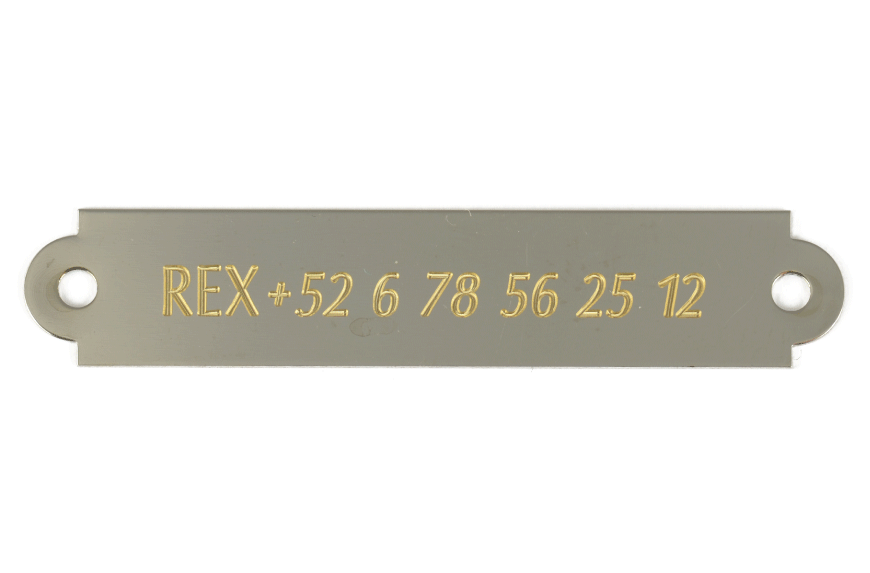 CHAPA-NIQUEL-61X12-MM-10-UNIDADES