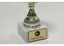 GRAVOLASE-PLATA-CEPILLADA-BRILLO/NEGRO-1-3