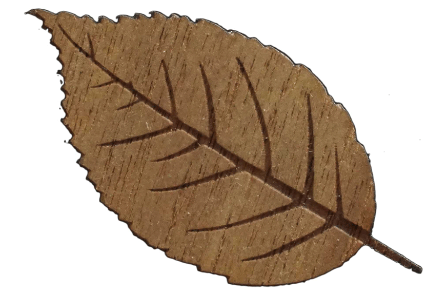 LASER-WOOD-NOGAL-2-5-(5-UDS)