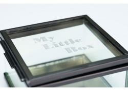 CREMA-A-LA-CERA-25ML-PLATA