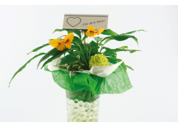 ESTACA-PORTA-PLACAS-120X53-MM-ALUMINIO-300-MM