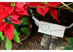 ESTACA-PORTA-PLACAS-120X48-MM-ACERO-600-MM