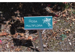 ESTACA-PORTA-PLACAS-120X48-MM-ACERO-600-MM